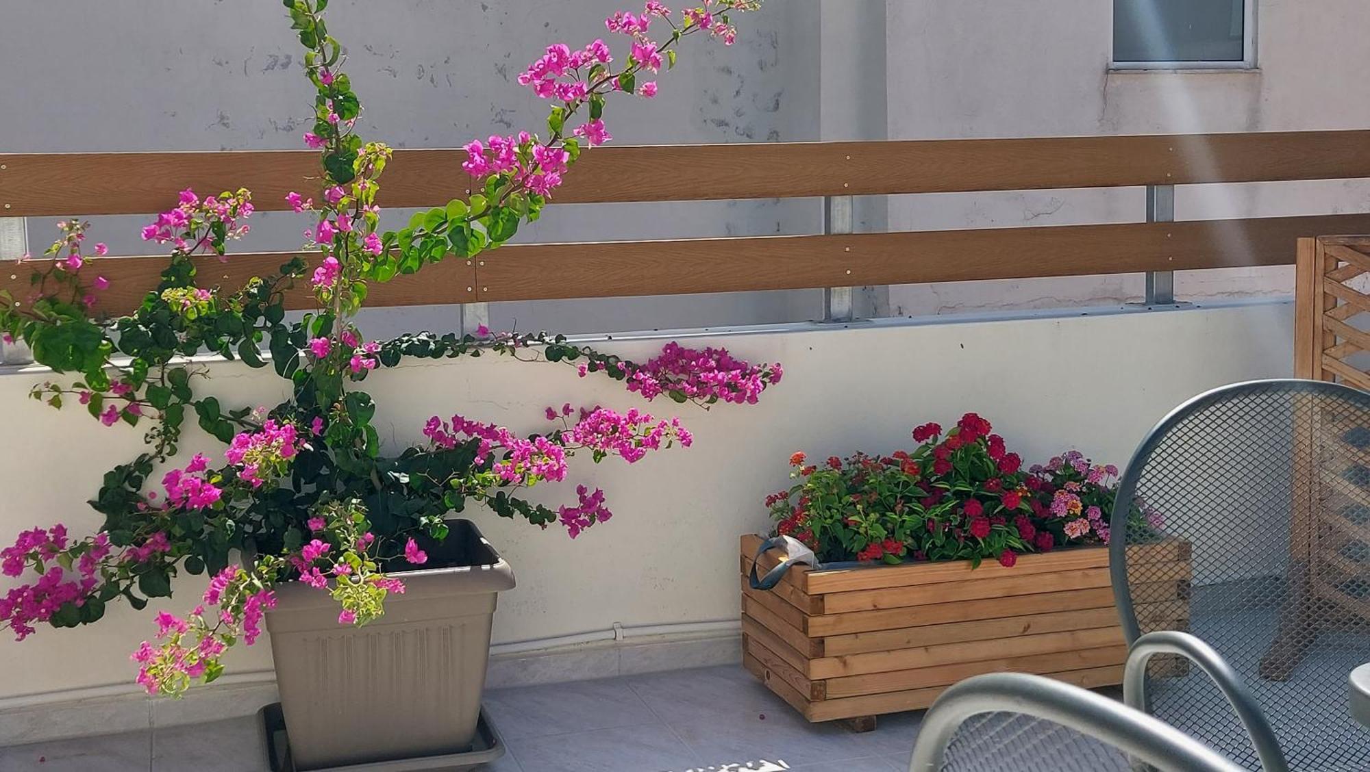 The Little Big Apartment In The Heart Of Heraklion Exterior photo